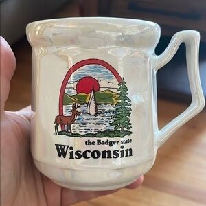 Iridescent Wisconsin Ceramic Mug
